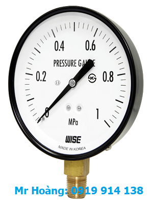 Đồng hồ áp suất Wise P110
